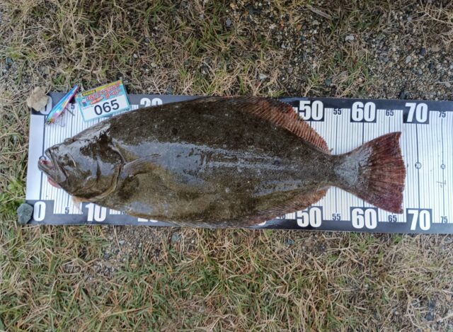 68ZnTPdgdOt4STGZRIL7YDIgSR74ehkN8LSe6Nw66-_S00UhaQsKLmHs1AO6RIMSv5Q4UFnx-_oVyMJjw8dQivssIxDFpXFLQBNr9sihh_2xq8jisCPHYgQQlWB2OKbFQ0mGTKiMiK02azDH-NEk1Q==