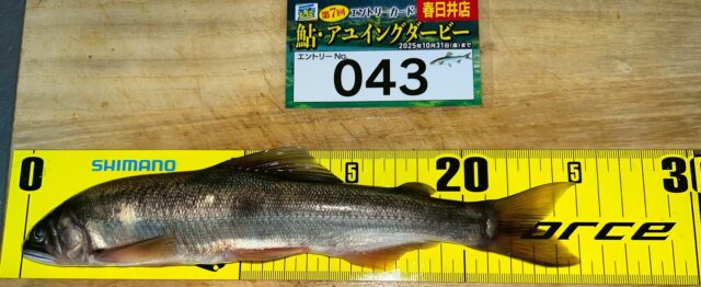 6OielDtYtbx_KkhCeC1vX51pMogUuthKKRZJN1HCX_Wsfg28khXIyi0qHNw2_Fy_hcPO94AIzxCvFqBVHzUvt3P0CM9VKtX83M_95DCds8PiH52f4cq_MoaI24RbE3m_jgTjgTGATm1_gXXKFHhmhg==