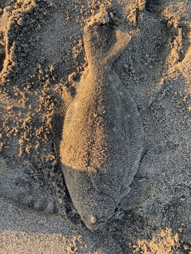 8B_Ciq0O2HcR0xn1Mz5meElcKLttGUe6VdUk1Zn_zlRElce7JAZDecT3GjoW3XWNDCd8crBLSG7po9c-e0eTiX9BBQ-8HV_Idgaod3rVRX4KmtIpH7sRRwmy9yPbGiX-Q0mGTKiMiK02azDH-NEk1Q==