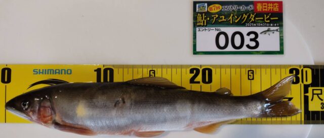 93cQBXwJ_f0Svn6LZonZoJx0enVkydrYiygCtT0MUvMZ4m4I-uZecg1NMRFvEeUYmZkvC6vGYLRH-FVUVTUpmpeoETL1R82WJuvKV4v9nmirTkCVXy_NM_ltKZfw4PxAPGAWgRoNfwFFSQkqTkXAuA==