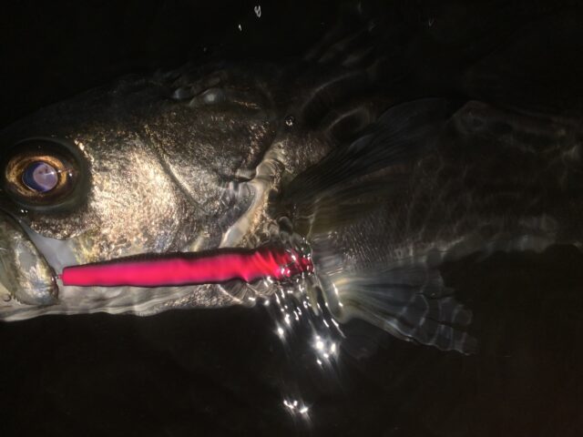 Bfkdv3DMLn6sOulYiLgkYVOQoexcfEbfY-A2dONqsElQ1UmaWJOTZMRIuJCXzdXPYvq1xYSptKgWgvf773BNsN-1GbW6bsgrrMHBQB-wl75-tKfYHJPOV4Y4oWG71881z-l8wzGQwHLkU5ioxg2GJ