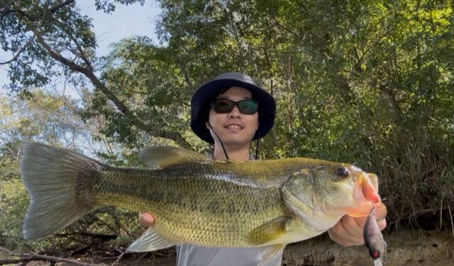 D18409ZwCmXOt4wvjY0AqFV6GHfzCQblT5dMqoSjFxQK0azzRNtUaGrlCctwepVP70fE3qyc991USYl9-ySTt-Buryr4SKhskKiqiQrIbPP-bY3guLvM9hUbmwEH4MjxQ0mGTKiMiK02azDH-NEk1Q==