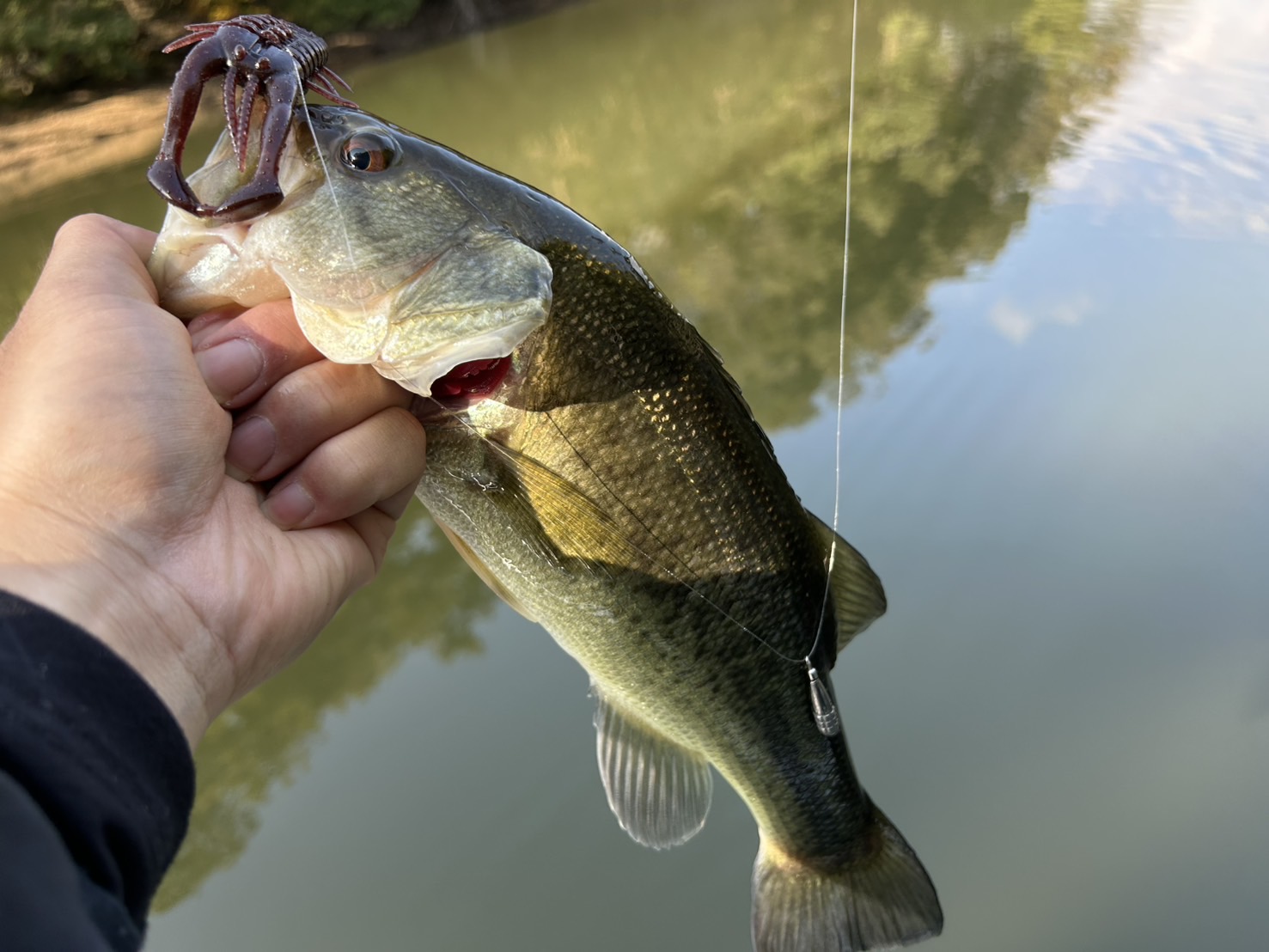 秋のバス釣りを楽しんできました | フィッシング遊