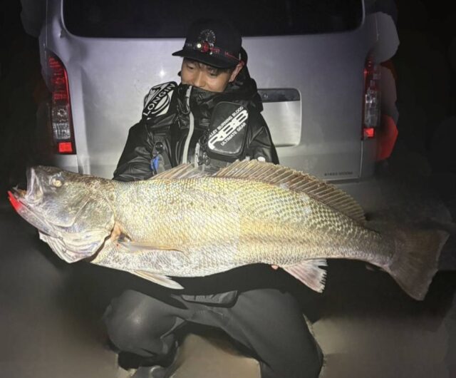 IfzfwZUPMh5C_NhFzrgUi7ksvDXPbDJ34mHfaFCKv7z77bXNgC61XCY3OK3o7VGOKN5qfxQMjxY-h-qStoK6XmxZwntvnYVQkC4jo3KzHPsytCFbOc6kFQrD75JANIo9Q0mGTKiMiK02azDH-NEk1Q==