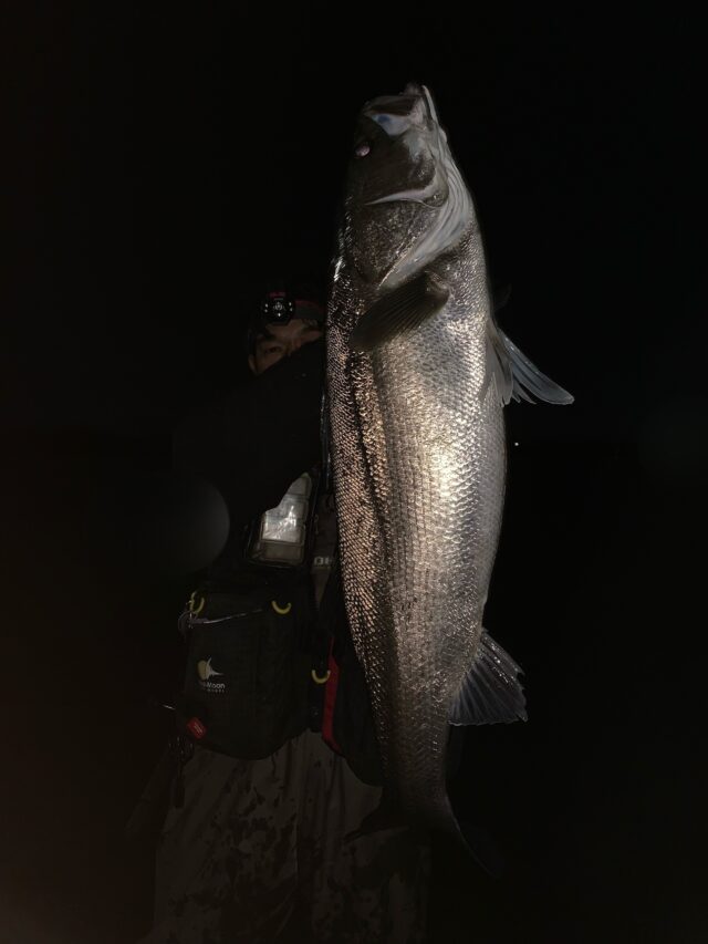 JGaJdF6phwRYUw5L6RwzKuQzOcW-x3mZLHhzuxQk6Ezlk9lXtDq9pDXB3kmPnkx1Ug1618Hvrn6kxbbXineNta1CuPNBHO9ZuJtHh8lKqWq-wqbTY23z-ATYUNOczO1vPGAWgRoNfwFFSQkqTkXAuA==