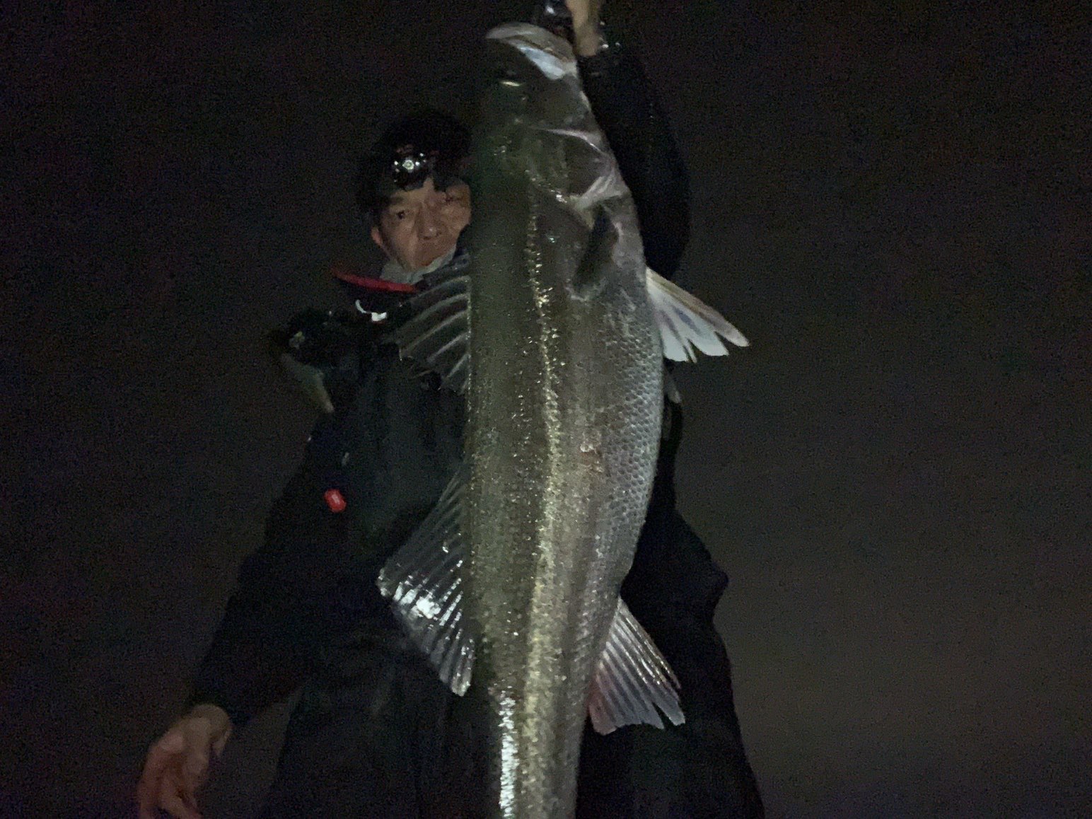 L7hXOnx1zzgk5Ayou6QlMT5PKWLFS2aWCeGA3hhrjWDYpR5K2xjr2qEdr5Y5GlXJ6KevFAKNHCLWQ00E6WyC9X0Gwb9ChahcGhEzfTbb2zfEZ6h1p3EoJ1NievOFkzjpQ0mGTKiMiK02azDH-NEk1Q==