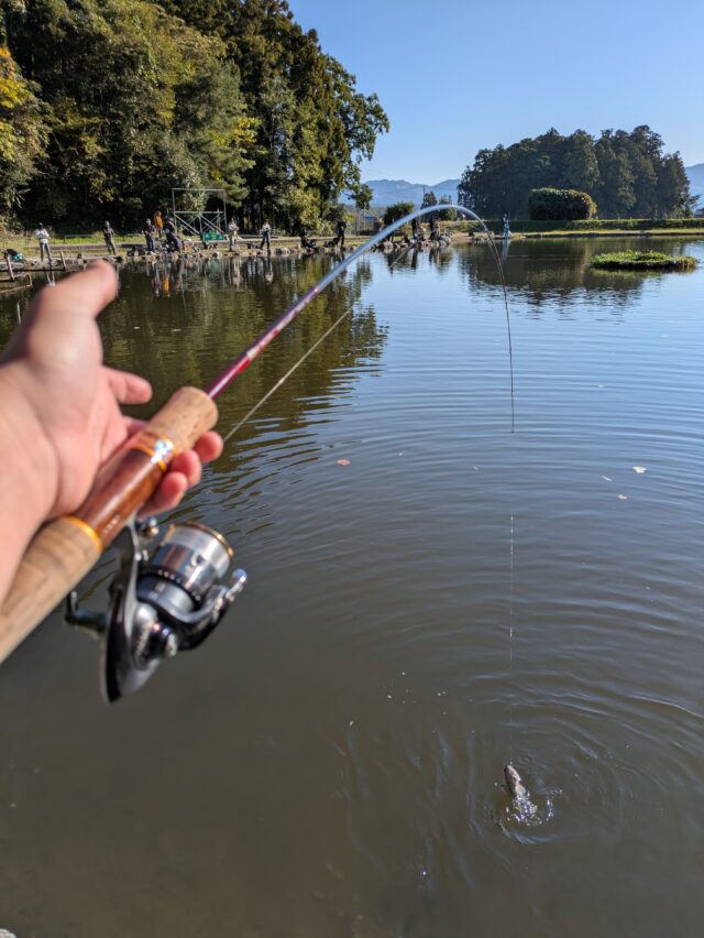 PXL_20251107_235318046