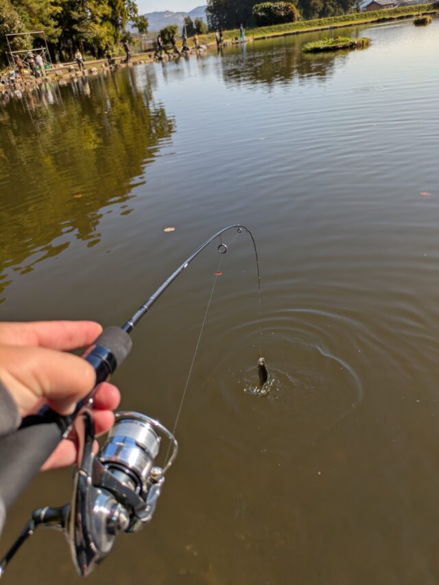 PXL_20251108_005836853