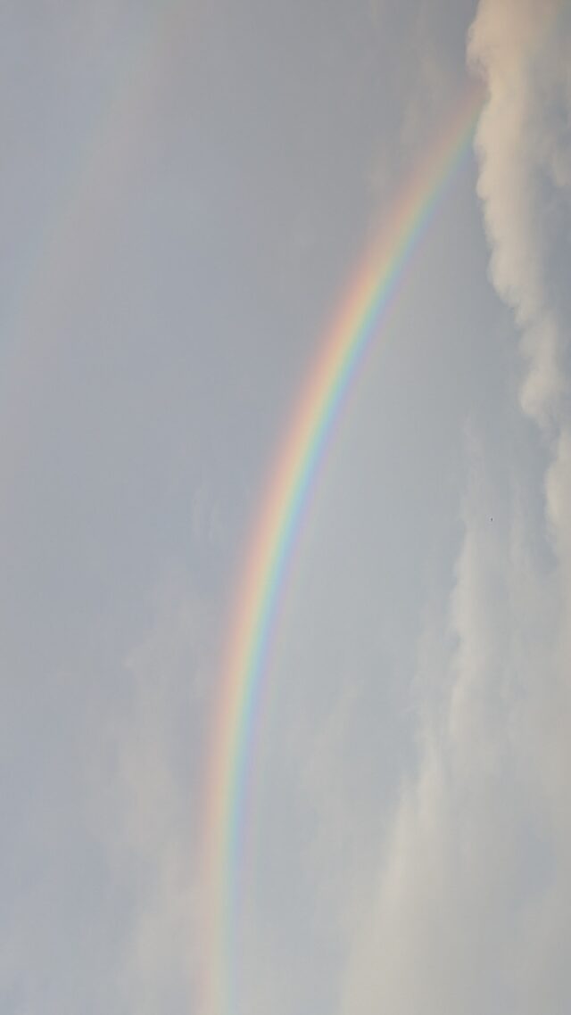 PXL_20251109_070913319.MP