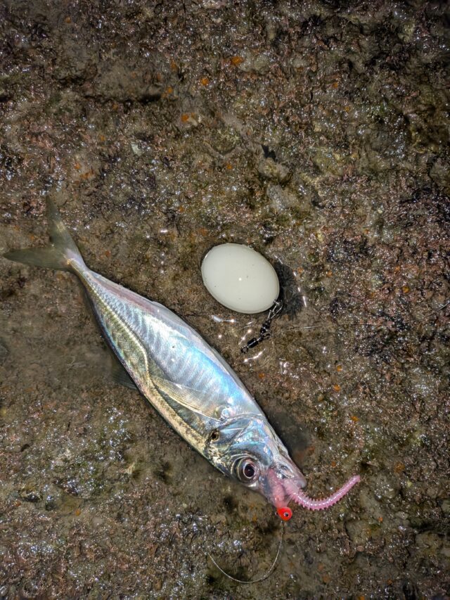 PXL_20251116_132238413