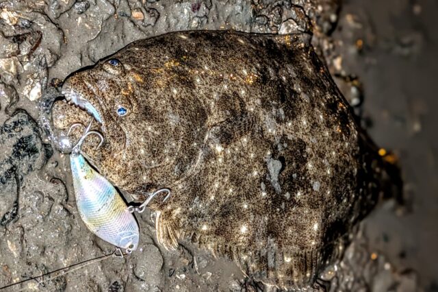 PXL_20251119_123305200.PORTRAIT~2_copy_1500x999