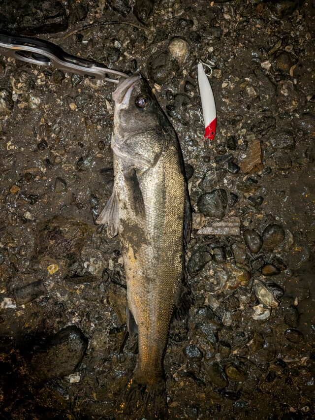 PXL_20251124_152758496