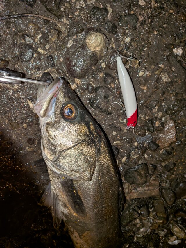 PXL_20251124_152804457