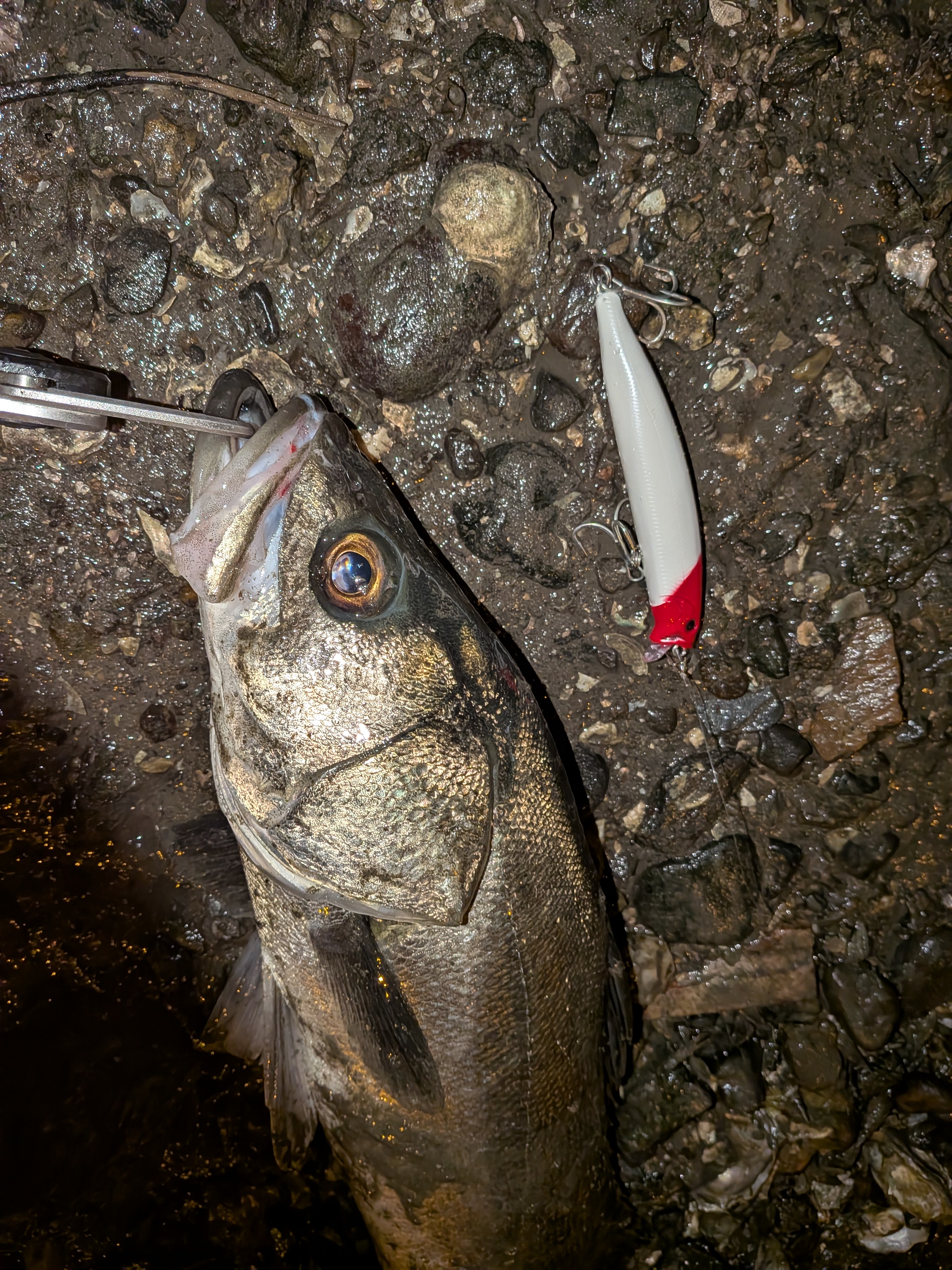 PXL_20251124_152804457