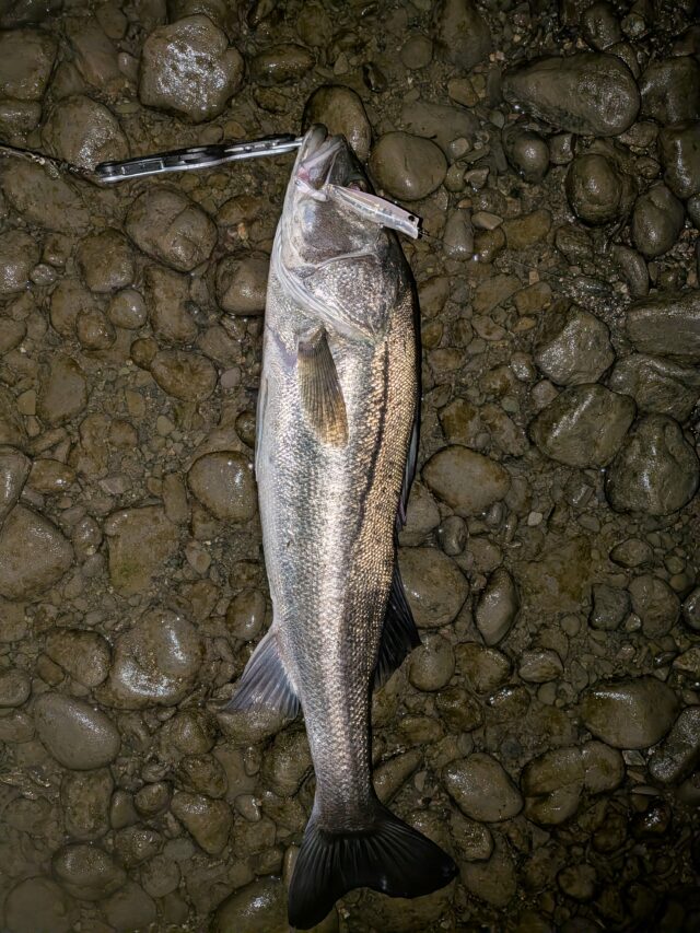 PXL_20251126_145953575