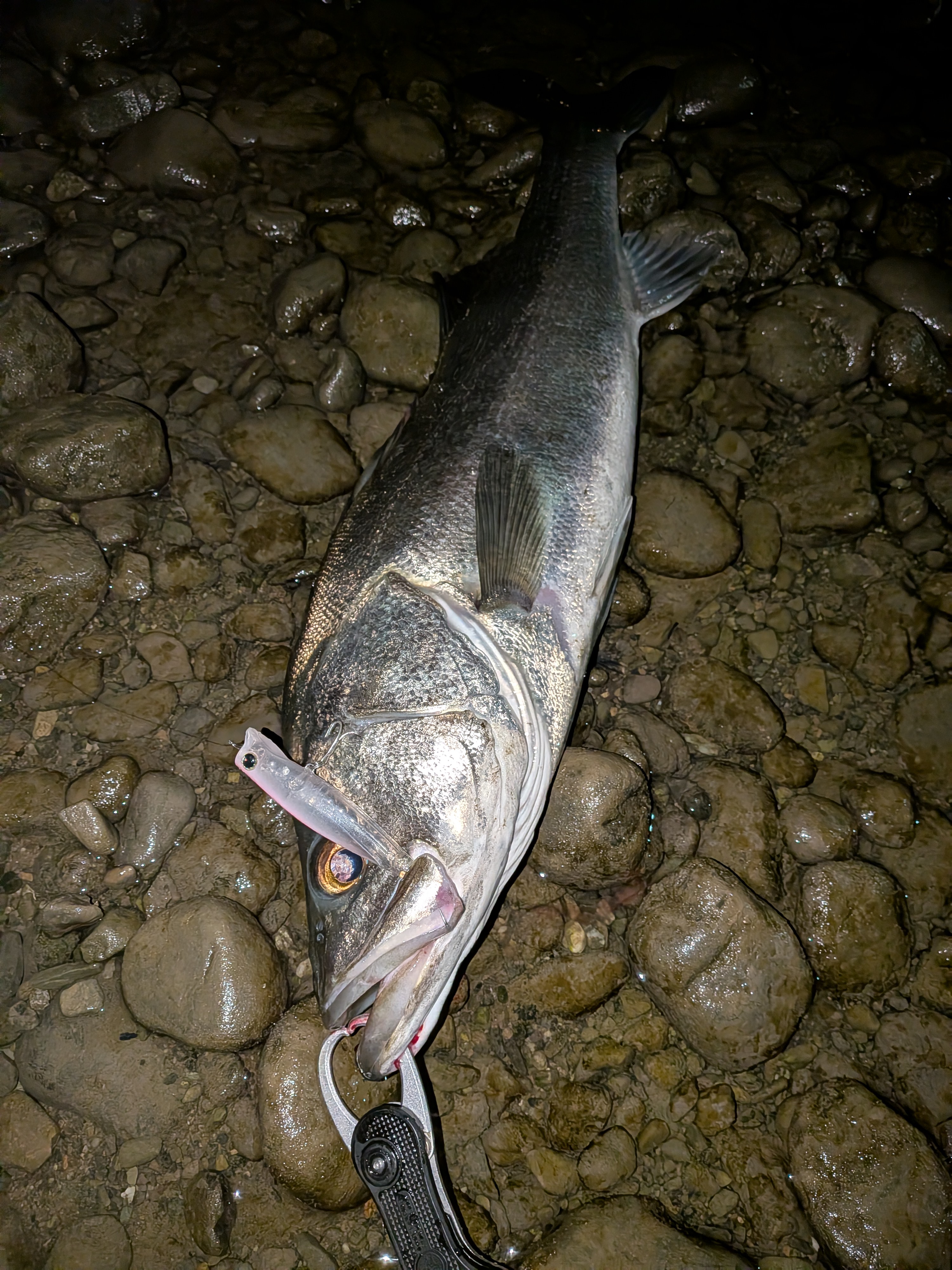 PXL_20251126_150021433