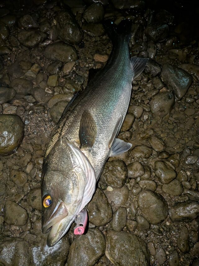 PXL_20251126_150637942