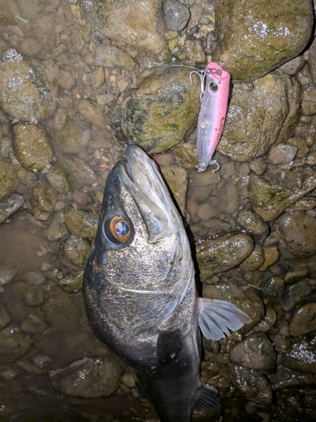 PXL_20251126_154039455