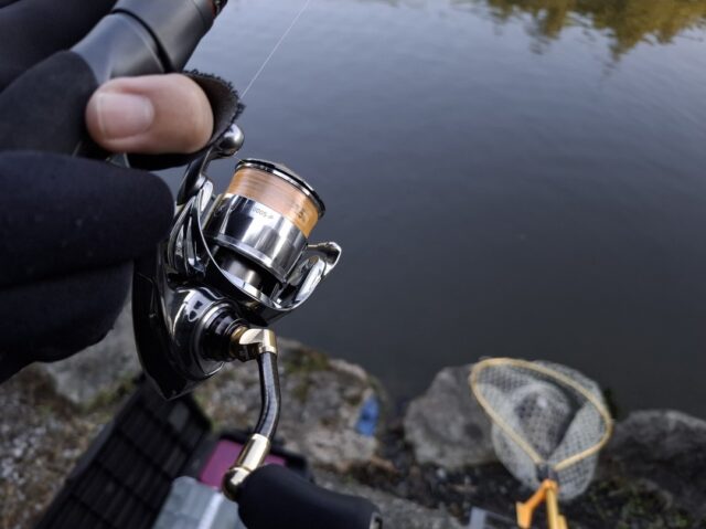 Screenshot_20251116_130007_Photos~2