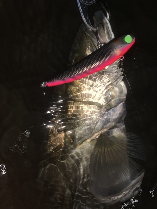 TdFULPY_umWtrmx6-5n153-Zqly2lEJcuOScHC9oEW6Xz-C_LsHlmxUILEGd1V9_oO0YAEDnS-vZE2dQfZbObeJMTxrkFZD-zU3zo72JAS-bmX8IBS3slKOr-bJoTBNxCPs1Dl06N9VAVlxHgFo47