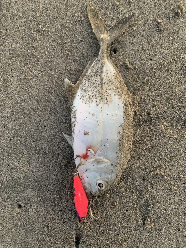 Ub6f_PEaawxqlRRkaql90GEywttX1bZ7kpV_jyUjKcEzmSEgD0x4J0BCMCN7E0L-UOf4qIPOK4B2zBUXErFRWjjjjiylmos73Tz63WYLNQwMxdJj6-MPlVA3aLZRSB2nxjd32DvNFM_jZ_FnFQeU0g==