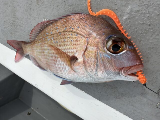 WffZvNNVYlsIPutnQWGcgucDCO1HtM64hnvT2E6_PthXtgQsEDI82mqTBtvBeDwqv8E_917177pVURmv7-5Y9EPDfcE8U3i2Kqn6FtsV2GF6vXpGjaM9T1h9Ee1ia2Kh-Y6RmCFYWj9R9NUu3GhWkQ==