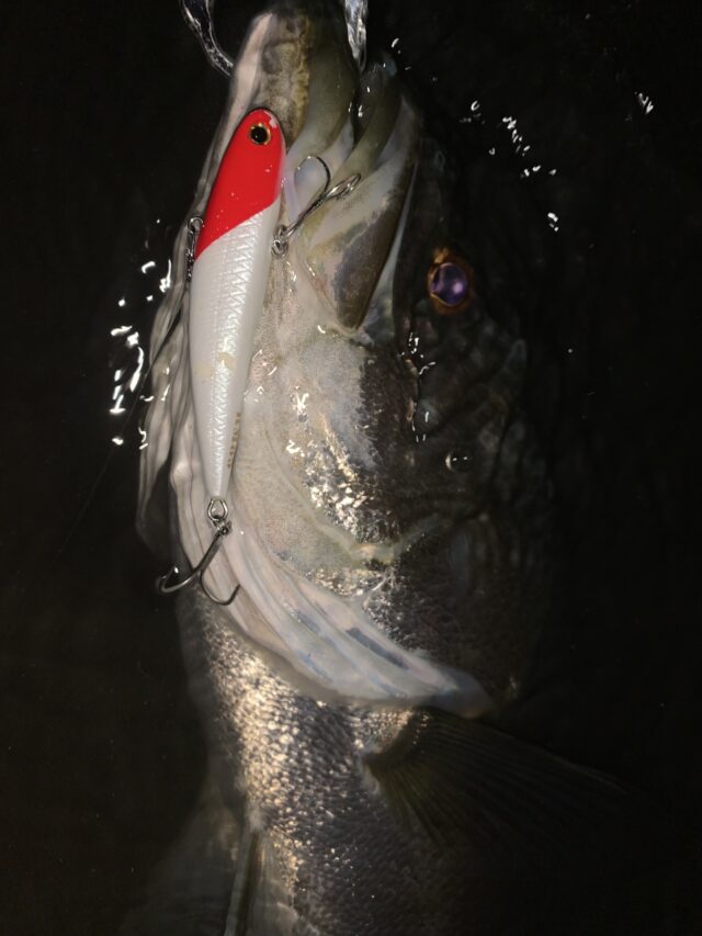 ba26cPSZawlkmQ9F-u3nzR6Glv_dBQjrEEhu8KArX-7j3I7E2DitaNnggJyBZewMC03HbEjN0ddrTVLg-ROYHe9tJx0cdkSGJyAUlyNF8Qgq1MpZhx0r0OVvASqsWnKQOObrIXWDvj3wvVZWXR7T