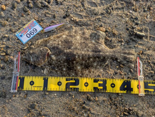 ヒラメ44ｃｍ モンスターショット
