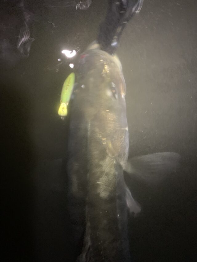 grKlkWutF1YFiCkCUWbYQStOi6o3f5PxGa53aRmWUJn12rTPYBmRI3Hy7H1MF4WUggRiiLz-if6rSK5GQSL0YvV_12D_9_PJgClF-k4KHswjlv1jBI14aXo8WuvgKc44r6fRbKROf4YksHppMo5Q (1)