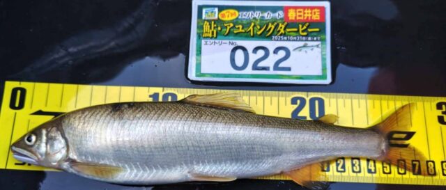 k6KSm5zE97qUZQR6_Q-yCOP3X7f68owHzP4rN4vaMlZnPjpJhsUTDG59zHwgjljFln7h2ZF2UvBykTkeU-q6X5O9BKrw2iGWebTm7QyZNPXYA_Hi3_MFw6PuAUVBcOQpQQq1-WG3eFy_I7uXKcbEYg==