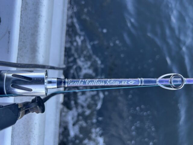 line_oa_chat_251101_161416