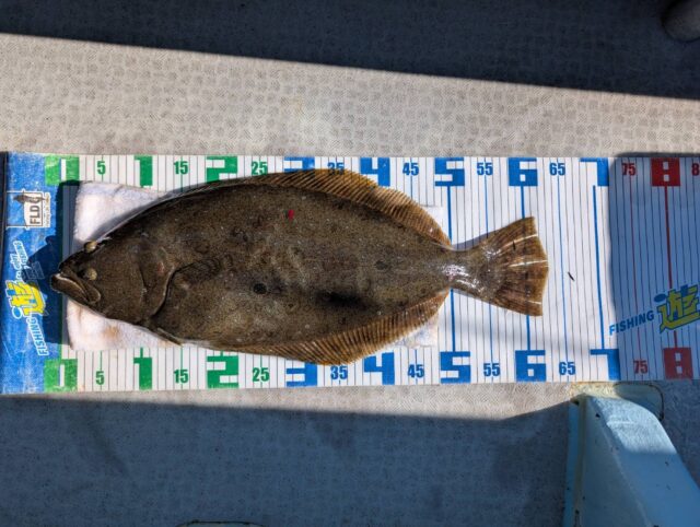 line_oa_chat_251122_120032_group_3