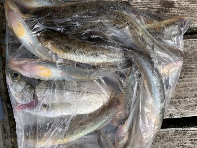 lmVVfWR_-2VAYwkpOjO0g9y0TH1SefYuPiFe-F0Xl0NJnrhNTzbWK1V-zeofXojTXUhZ1rNCr33l6DQl2M4i77OD-rugIhV3TPwYzj0DnJBLDlsg7ObwPjkf2ivcKevokCPUNF5rJUTpUxwFl42