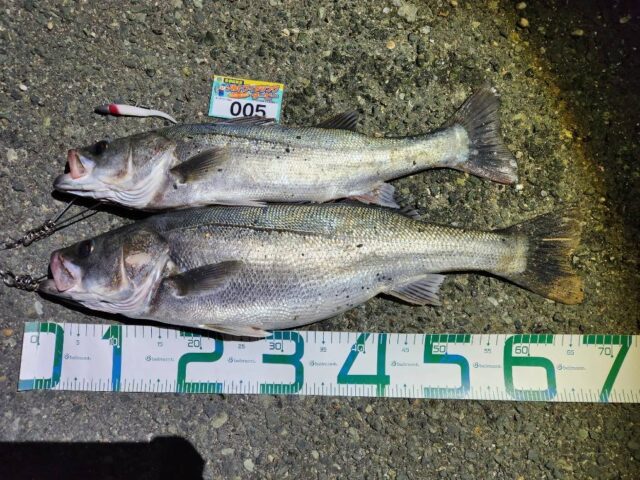 m8p96xB7iQpm27VIpljcFkIDWvWyIdQQ8MxbWZPHXka6j-VLOEFSw0onbiAqYopqztuQG2gB7PFlYPzxZR7a1vn2OC6o9KMzKdXoztbVKcyjQk8DTLbjeeDfKkNLzmfBCPs1Dl06N9VAVlxHgFo47A==