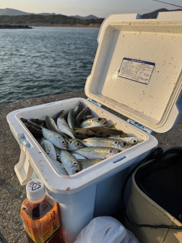 oEuxH0Jijyel__oEdZ8inTR_t4_CT6PFfq52pbWmTGXLLbxlH0EgDaX02YB_SrVbz3axvuzGmOC9aQHmFVHHitk4HJJ_QbaylZOsdoJKaghJWGFZ4TnaoE1Ps06c9-Z9kpngZXezwyv0UN-p8nCI8Q==