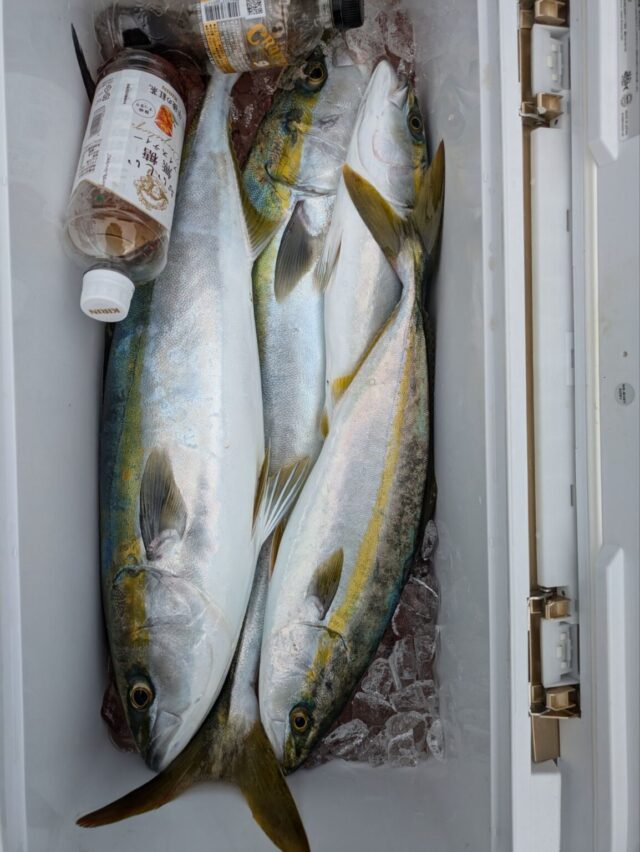 pxl_20251111_0232069394016596075291082445-1154x1536