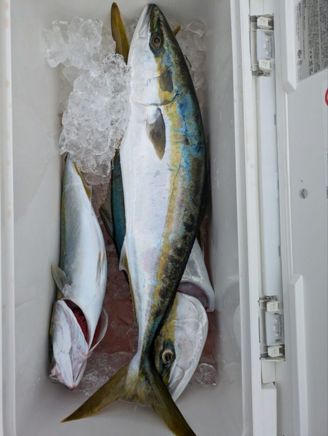 pxl_20251111_0232261608116172881442570442-1154x1536