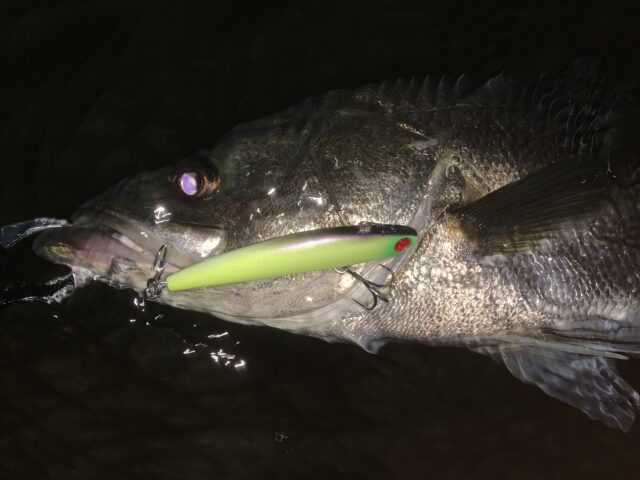 toQl1ZB7aGurrByB7eme0FkfZihJ2YbxBEWP7k0Ipi6sZRcl-ceI-U4Xvlr_-Ym6aFjpAx_gNaK7y2K-AIMC61s90fzVaSo2a0JSsS4ZiN1pFh_fyX5VVmsm9XjIQJqrhQ7XXNlMIvOKyR-Uke5ip