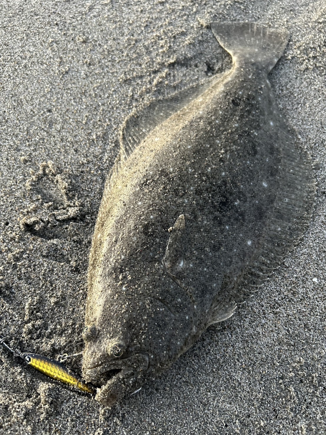 vDjNOIIa_ByFJt-Vid8YzZA9JzTXtzt3-ET8f9rIgLpWFvuTZILAeQHR8VAQQV6O7YDj2axEuBhJfI3juZMM_mu-tibV-o6Wg1J1A7d8B-8zPMXpb7ge5NBkhoX7YOxEkpngZXezwyv0UN-p8nCI8Q==