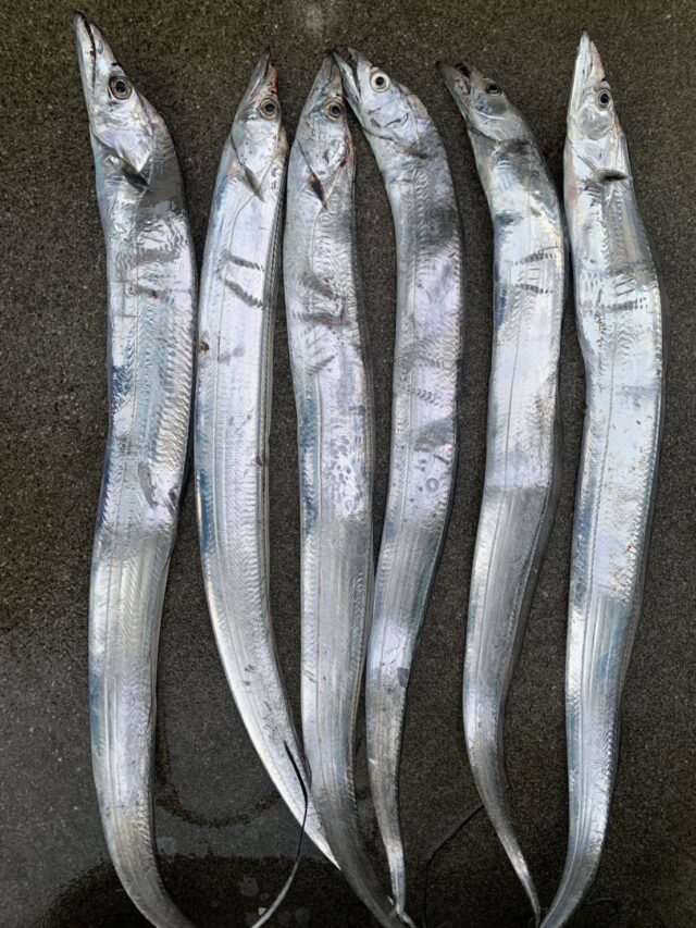 36QFCpPcByh7Ny4PPfdYjTDWx27kSAG1m4OfHpMjfseL7Im2yxEowQQzmFvWFGR_TMxKEEBssoHYVPS-BuPP6Gr4B_GKyYiYVHqAn0LWvFz_48MzXfUnWLOpGEN7PvVBPGAWgRoN