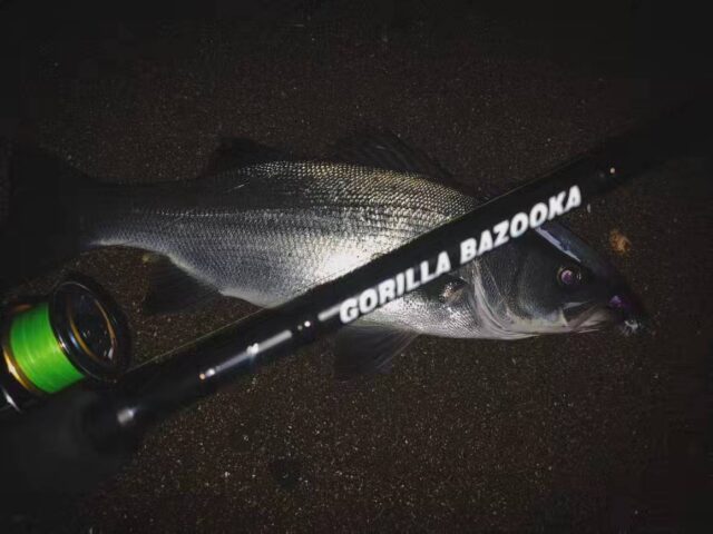 3D5X9i9KKjFY_0qF9BJKAFF92zftMG_RSg7E493yfhAhlx_CCxwcZ6ePsaSSh1QeqKsXL_eWP02UEN4M_2Xzz2ywM6g5DaFw_g3fWTKgtNXEuGfLz4qIltHRQnmjue2zOObrIXWDvj3wvVZWXR7TOg==