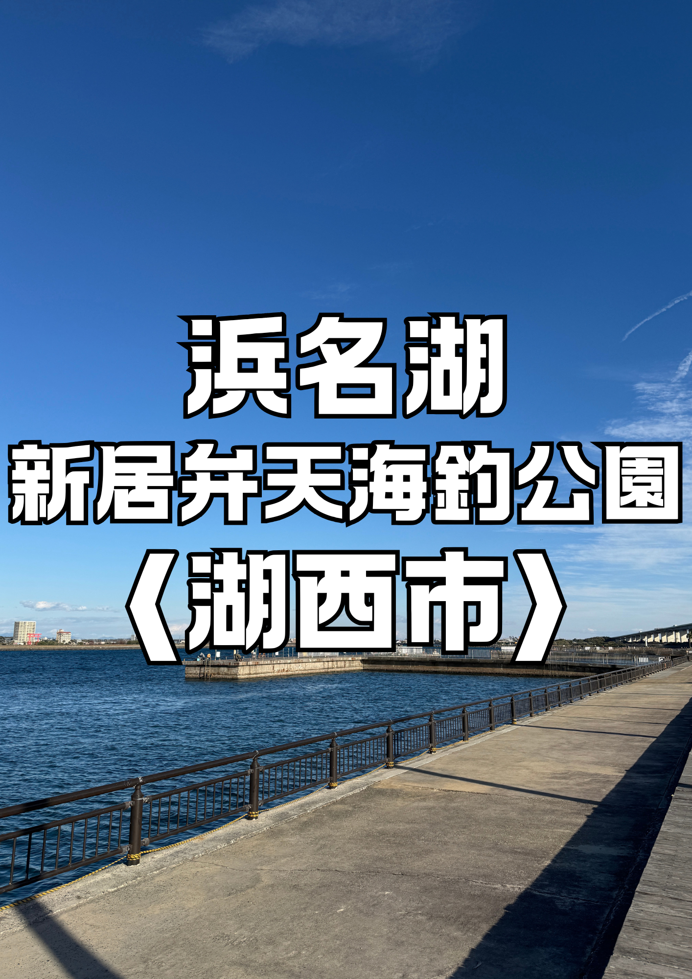 新居弁天海釣公園