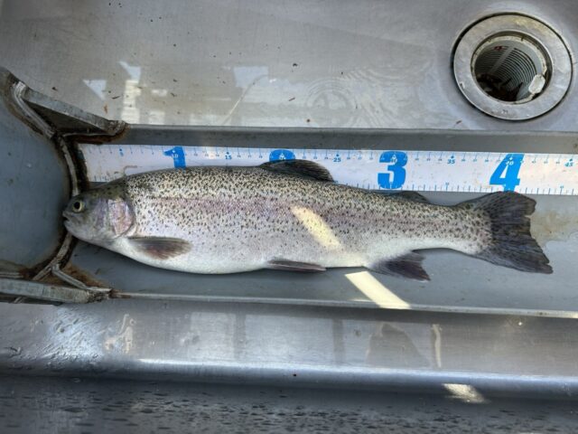 3rXiO6YVdn7Jg199YFrG5ZmGKeQqWQGLQAvrhPrNJ2kyV6PnNg7jlpimbrC7mbk6gbFthTubMtcExrEezpOOVU99at3Bd-U-zZA5vEtxpnKOwLDgCTo5tgW14lWCWE1qCPs1Dl06N9VAVlxHgFo47A==