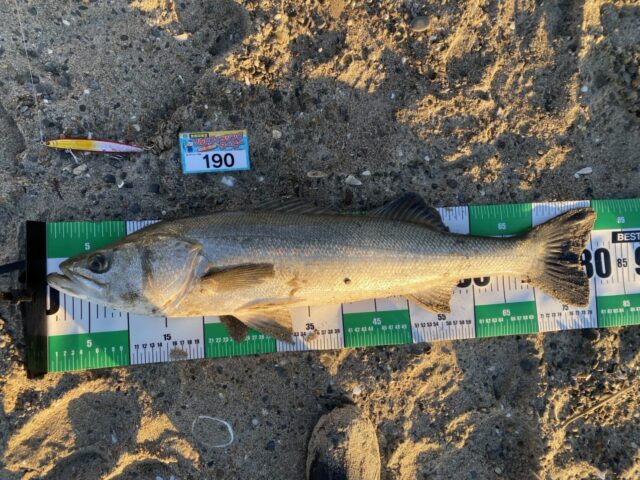 4ocDSWrxYIZXneZiWQ2Kj4QL6DEwXXDJL9pHGUkLNCddnoq-IMt2Ald-LQwWqz19vhgtegFYp3NOsLEKG4OU_lJ26D01v4Ug03FmCndHhbAvzKxGhNJBYOoGQa64pcqMyoEYSNdl