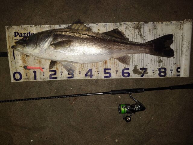 6CEVv9anrwl7SHcCovDPiJ35rGRGssqHZ0D4C5JInp6flB6UDcYnrIkKMUrqgNKzFezEa0Q24RnxwrCxctTG97IulicxY5DqFEadco_nH37oN9yyjRrYNEa-0MfPhT2FPGAWgRoNfwFFSQkqTkXAuA==