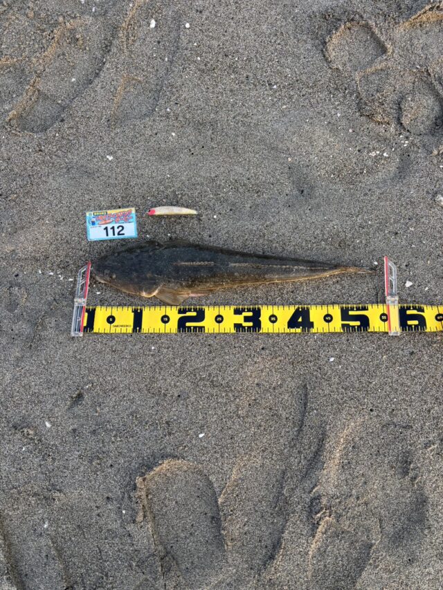 AgouAol3QTsmCtXIsfIrcj0qHliMjz7sVewd_pLiZlIIDkGfCwtFjE15bU16hW2H7e6ZydX9PMqk5RgZnIrFdQ6PUqGj2B13w7YG3LMX3xIGbtpR50rJfk1acgA8Tw1ThQ7XXNlMIvOKyR-Uke5ipw==