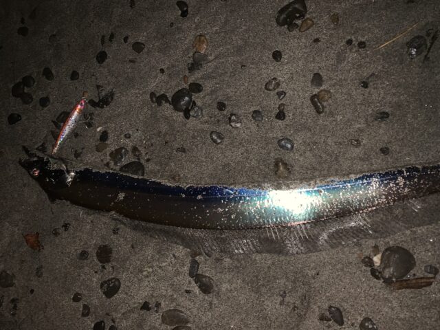 BAuHRe6_mo74WnV7zfhm9r173_uRmiLBknjR_dh1GkH1eV9XwrhcV0auzENHuLLQXAkIaeyOCsKGYNp6vVC1EZSShpMAPoqFIwcYNxVt2w30NNlpIeloU5vBk-WR6djAQQq1-WG3eFy_I7uXKcbEYg