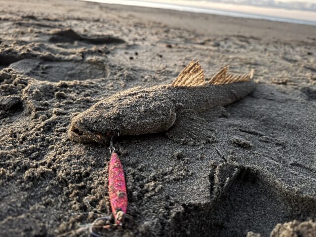 EMfG7E4TWSBWkPXpyR4UkHIGapxvBMoIKQP_WRX1VJf00k3uDOWv1jLy17xjHNo-D3Tl8vJd7VIysXW2IYhaiCkGjRIhlu5hZG69rsjgSzVC5Rljo_3IKwHury0jM7iHPGAWgRoNfwFFSQkqTkXAuA==