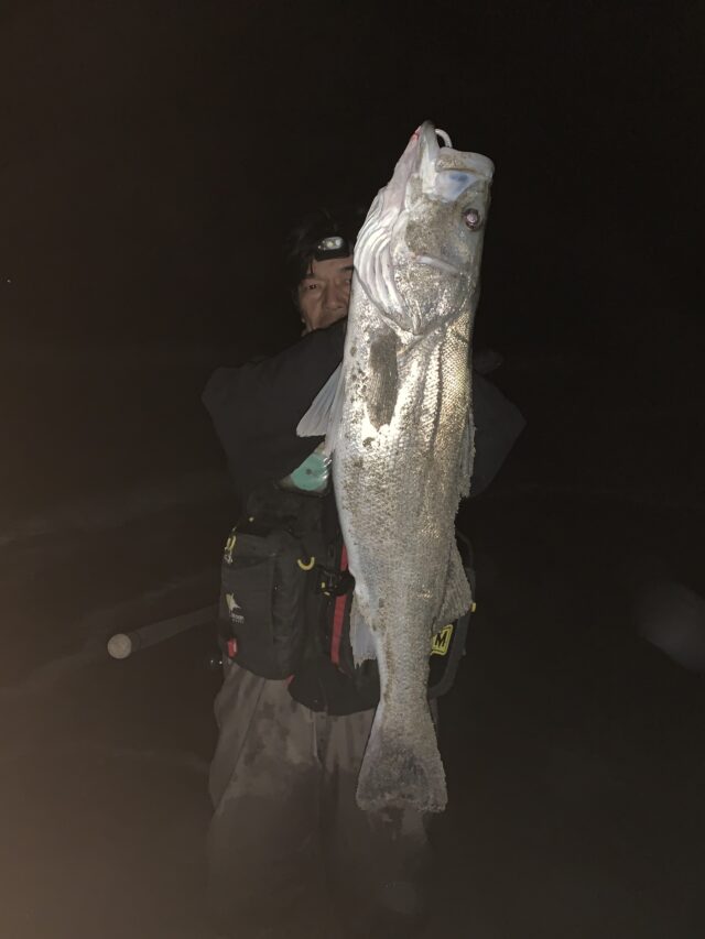 EhlKZDhbiRX20Dl7A3rmtYHzstHRpPWJYMtv1HeREuW4T148rwWFfYvmq0m1SOYit66513H9cixvKs4GPl0uH0tBMpp75kcADenzB-0PTOSddEiQoUL72Sm5Y3SVrNRYkCPUNF5rJUTpUxwFl42Qjw==