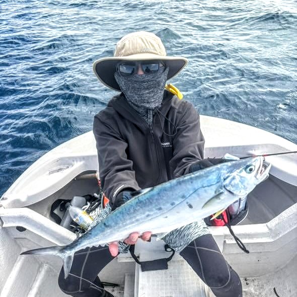 クイーンフィッシュ(イケガツオ)キレイな魚です♪